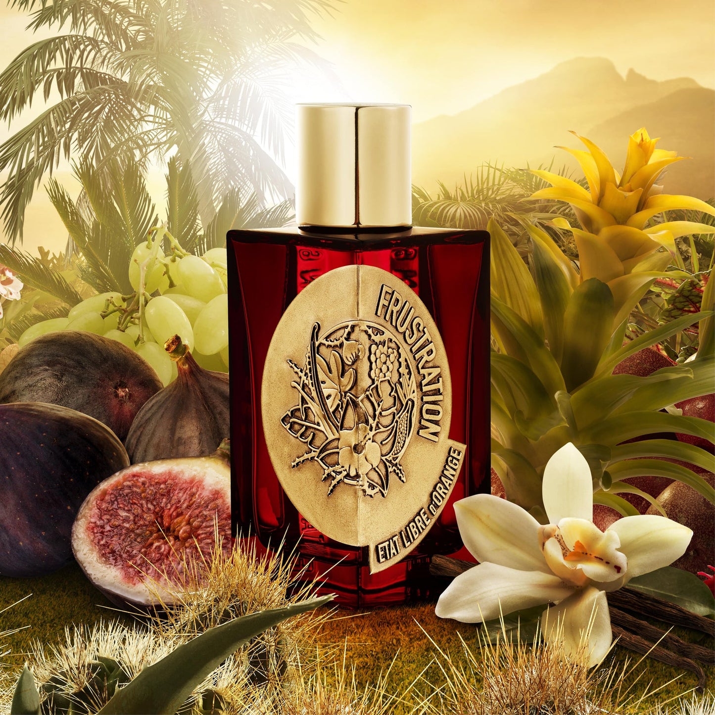 FRUSTRATION Eau de Parfum 100ml